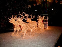 Christmas decorations George Square, Glasgow Wallpaper