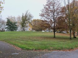 Roundwood Park NW10 Wallpaper