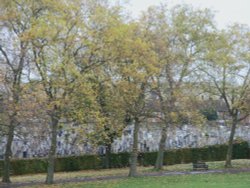 Roundwood Park NW10 Wallpaper