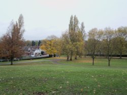 Roundwood Park NW10 Wallpaper