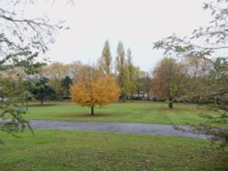 Roundwood Park NW10 Wallpaper