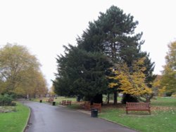 Roundwod Park NW10 Wallpaper