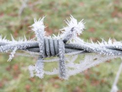 Now that Is a sharp frost! Wallpaper