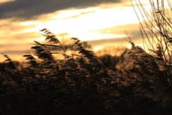 Burghley House Grounds Wallpaper