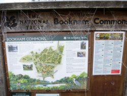 Notice Board and the web of ice. Wallpaper