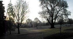 Rushden Hall Park Wallpaper
