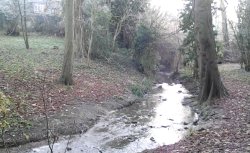 Rushden Hall Park Wallpaper