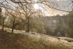 Cotswold Winter Wallpaper