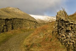 Fairfield Horseshoe Wallpaper