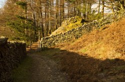 Footpath, Gate and Wall Wallpaper