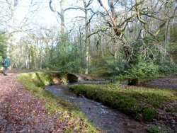 Quantock Hills Wallpaper
