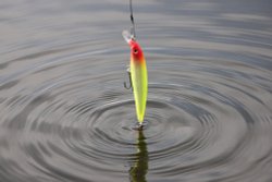 Kingsbury Water Park Wallpaper