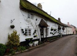 Branscombe Wallpaper