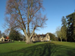 Rushden Hall Park Wallpaper