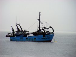 Leigh on Sea, Essex Wallpaper