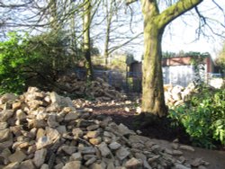 Rushden Hall Park Wallpaper