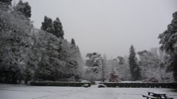 Orton Hall, Orton Longueville, Peterborough Wallpaper