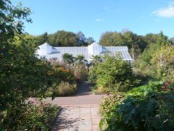Tropical House, National Botanic Garden of Wales. Wallpaper