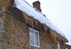 Frozen thatch Wallpaper