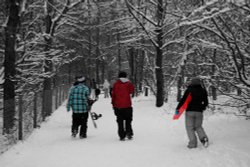 Snowy Hayes dude Wallpaper