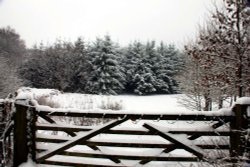 Snowy Hartshill Wallpaper