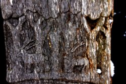 Hartshill carving Wallpaper