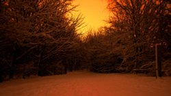 Night Hayes Wallpaper