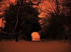 Night Hayes Wallpaper