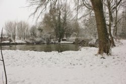 The Splash Wallpaper