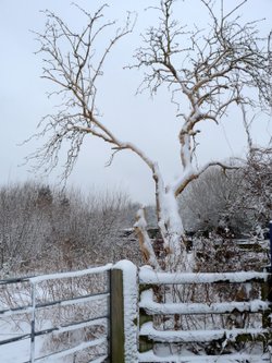 Winter wonderland in Watermead Country Park