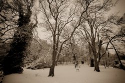 Himley Hall Wallpaper