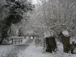 Walking in the Snow at Watermead Country Park