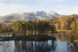 Tarn Hows 14 Wallpaper