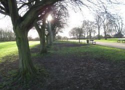 Rushden Hall Park Wallpaper