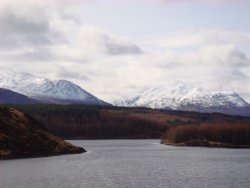 Loch Laggan Wallpaper