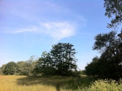 Lugg Meadows, Hereford