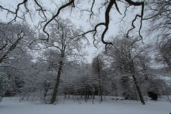 Himley Hall Wallpaper