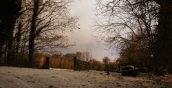 Compton Park Wallpaper