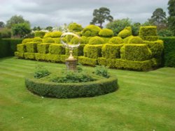 Golden Yew Chess Set in the Tudor Garden Wallpaper