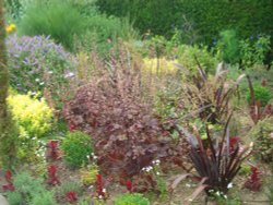 Sunken Garden Wallpaper