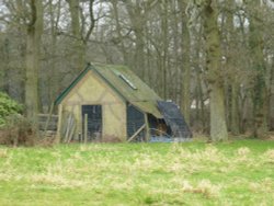 Because it is there. Wallpaper