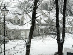 Orchard Grove Wallpaper