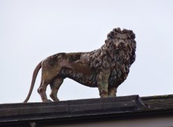 The Golden Lion