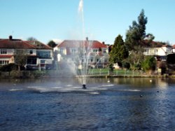 Raphaels Park, Romford Wallpaper