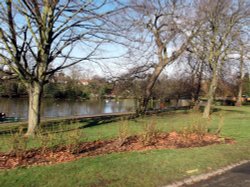 Raphaels Park, Romford Wallpaper