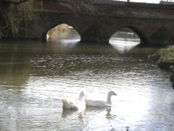 A picture of Hadleigh Wallpaper