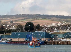 Teignmouth Wallpaper