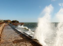 Teignmouth Wallpaper