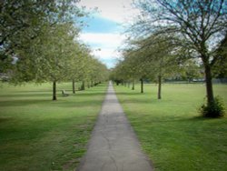 Walking on the green of Cambridge
