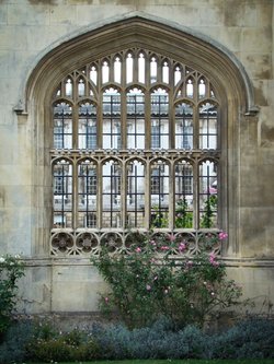 Windows in Cambridge